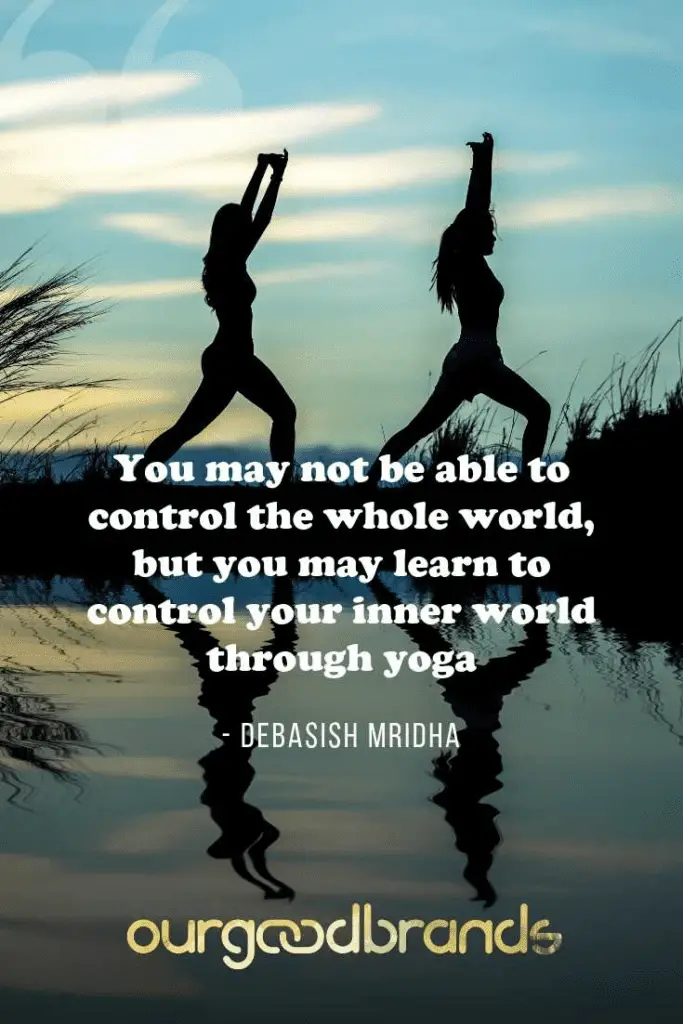 15 Intelligent yoga quotes